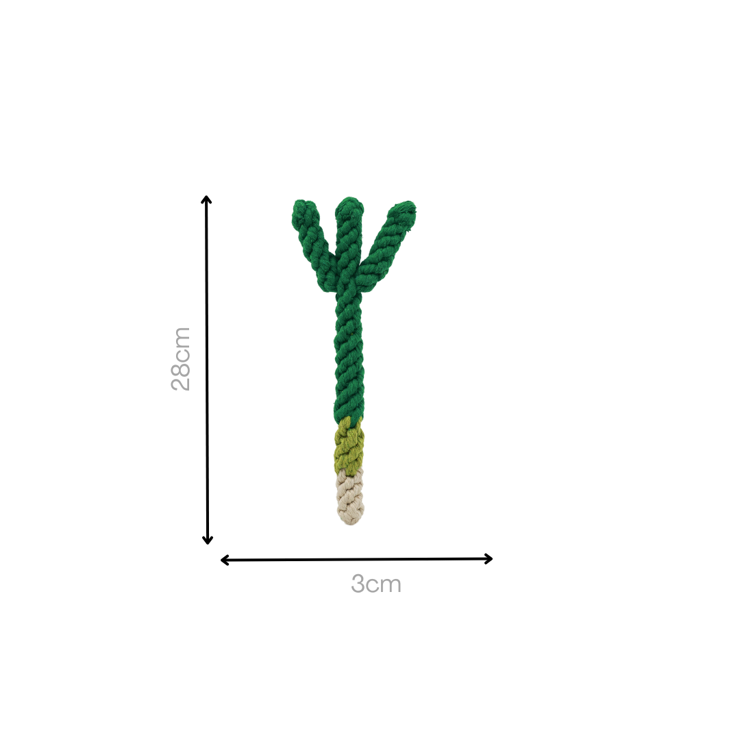 MarketVeg Rope Toys - Plumas Rebeldes