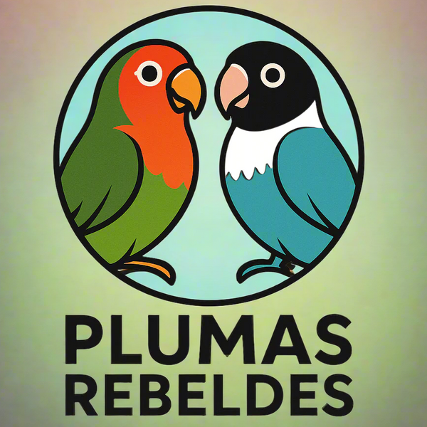 Plumas Rebeldes shop