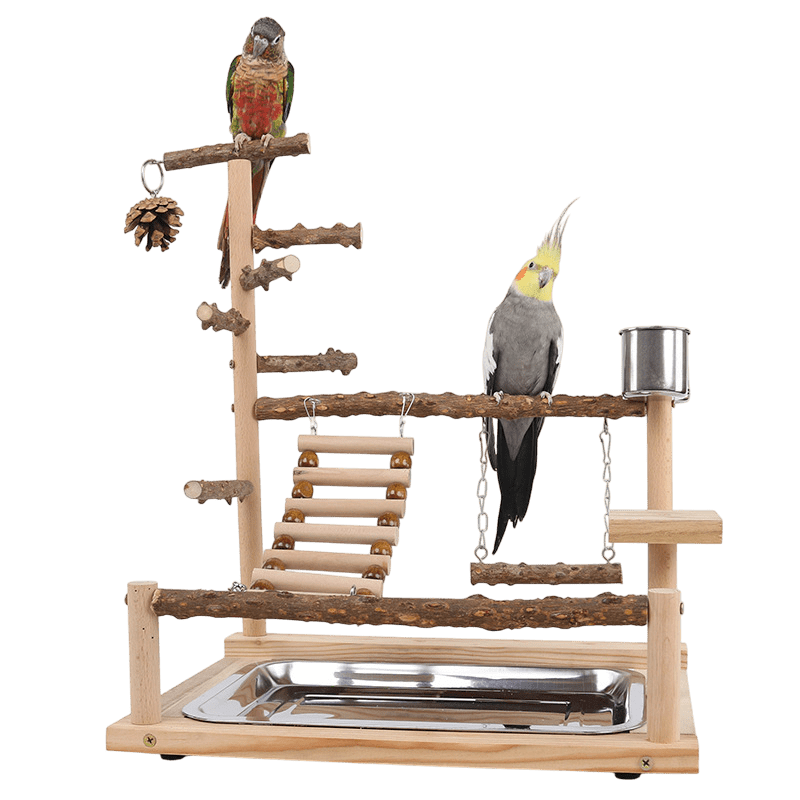 Natural Wooden Bird Play Stand - Multi-Level Parrot Perch with Toys & Ladder - Plumas Rebeldes